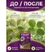 Аполло от клеща 2 мл