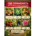 Битоксибациллин для клубники 20гр.