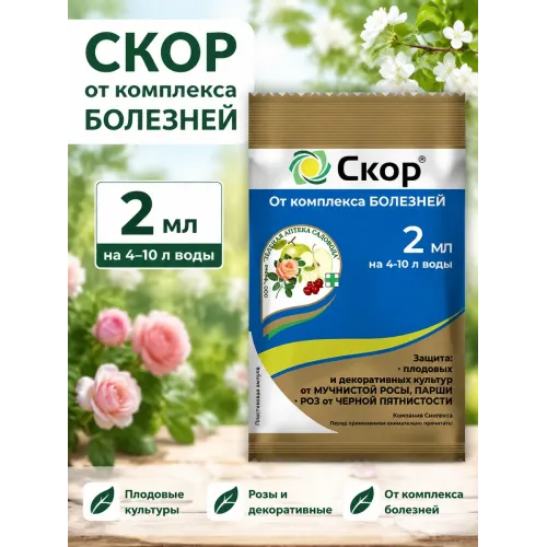 Скор от болезней 2гр.
